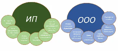 Как оформить выход иностранного учредителя из ООО