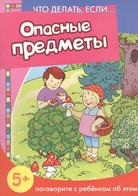 Опасные предметы дома». Занятие в старшей группе (5 фото). Воспитателям  детских садов, школьным учителям и педагогам - Маам.ру