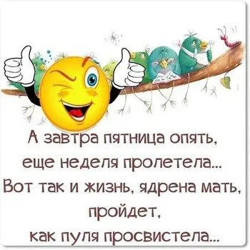 Открытка "А завтра пятница опять, еще неделя пролетела... вот так" |  Открытки, Смешные открытки, Вдохновляющие цитаты