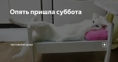 Окончена работа опять пришла суббота....