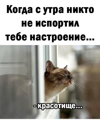 Окончена работа, опять пришла суббота! — ОГБУ "Комплексный центр  социального обслуживания ЕАО"