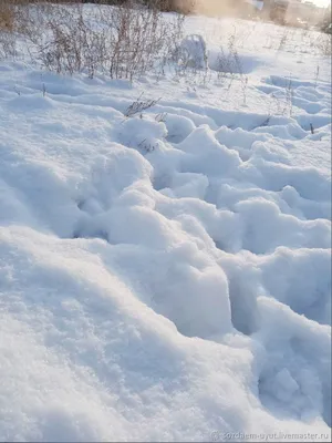 Опять снег: прогноз погоды на 11 декабря в Углегорском районе