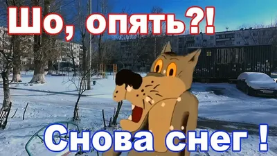 У нас снег выпал опять... Опять растаешь?! "Потому что холодно!"  ("Уральские пельмени") | Пикабу