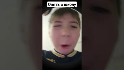 Фотобутофория «Снова в школу!»