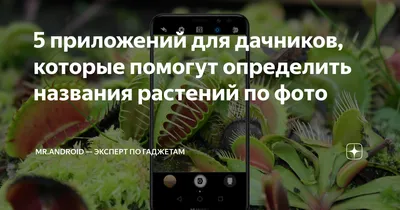 App Store: Определение растений и цветов