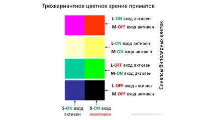 Определить цвет по картинке #21