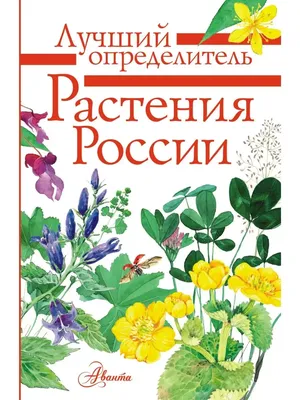 Издательство АСТ Растения России/ Лучший определитель