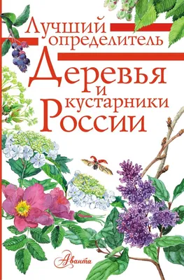 Книга Все о полевых цветах России: атлас-определитель, - купить учебники  для ВУЗов Естественные науки в интернет-магазинах, цены на Мегамаркет |  3948790