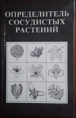 Осенняя флора. Краткий определитель растений - купить с доставкой по  выгодным ценам в интернет-магазине OZON (722210293)