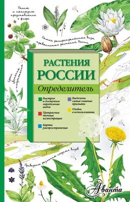 Иллюстрация 1 из 21 для Атлас: Растения луга - Козлова, Сивоглазов |  Лабиринт - книги. Источник: Лабиринт