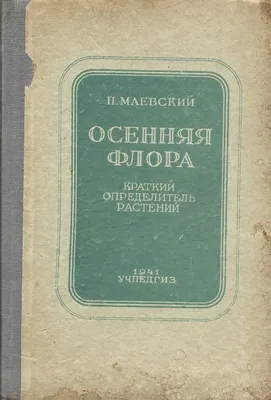 Calaméo - Определитель растений "Семейство Сложноцветные"