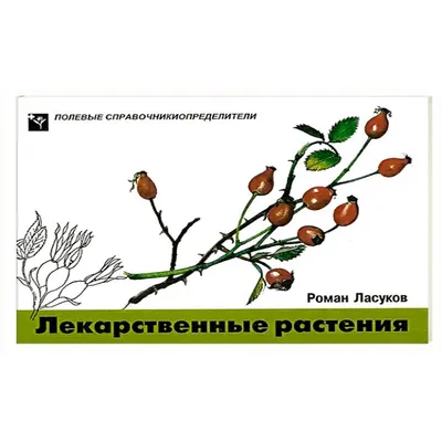 Онлайн-лекция "Плантариум: открытый онлайн атлас и определитель растений" -  Центр "Архэ"