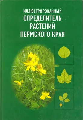 Лучший определитель растений – иллюстрированный, удобный, информативный |  Огород в Лесу | Дзен