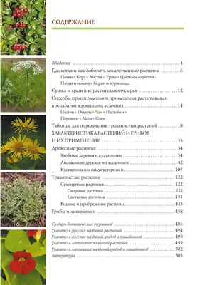 Болезни и вредители декоративных садовых растений: Атлас-определитель  (Любовь Трейвас) - купить книгу с доставкой в интернет-магазине  «Читай-город». ISBN: 978-5-90-617103-0