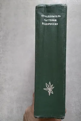 Лот 280 // Иванова, И.В. Что растёт вокруг тебя: Определитель растений.  Пособие для учащихся V-VI классов. - 2-е изд. М.: Учпедгиз, 1962. - 100 с.:  ил.; 22х14,5 см. В � // Аукцион