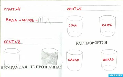 Опыты и эксперименты для детей Опыты с водой: игрушки для мальчиков,  девочек, новогодние подарки для детей - купить с доставкой по выгодным  ценам в интернет-магазине OZON (159488047)