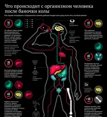 Организм человека • Окружающий мир, Человек и его здоровье • Фоксфорд  Учебник