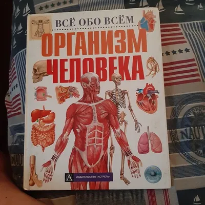 Для чего организму человека нужен фосфор: роль и действие фосфор,  недостаток веществаа