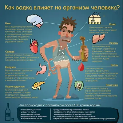 Как водка влияет на организм человека? - Центр медицинской профилактики и  реабилитации Калининградской области