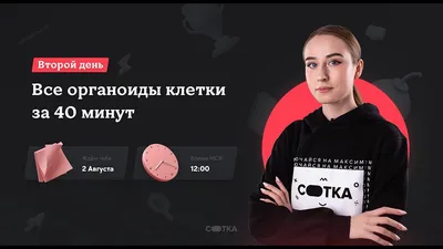 Двумембранные органоиды клетки | 99 баллов | Подготовка к ЕГЭ и ОГЭ | Дзен