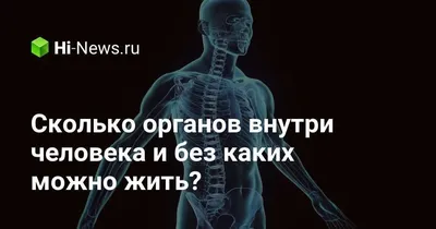 Внутренние органы человека красиво» — создано в Шедевруме