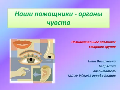 Органы чувств на английском/ 5 senses - YouTube