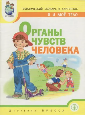 Органы чувств | PDF