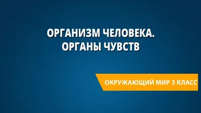 Организм человека. Органы чувств - YouTube