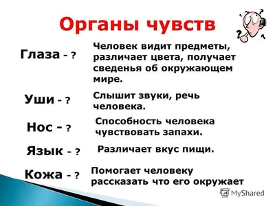 все умники планеты,мне нужна ваша помощь!!!Задание: назови органы чувств  человека и их основные - Школьные Знания.com