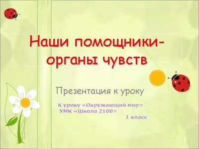 Анатомия человека. Учебник. Том 3: Нервная система. Органы чувств, ,  ГЭОТАР-Медиа купить книгу 978-5-9704-2886-3 – Лавка Бабуин, Киев, Украина