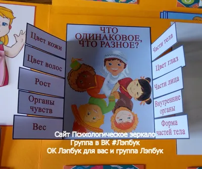 Органы чувств человека: сколько их, как беречь, основные функции, куда  стекается вся информация, какова роль 5 органов в познании мира