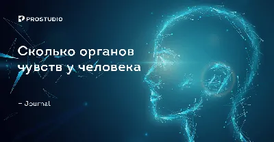 Лэпбук Человек (части тела, гигиена и ЗОЖ) – Психологическое зеркало и  тИГРотека