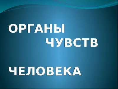 Органы чувств человека #67