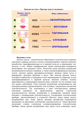 Как мы устроены. Наши органы чувств (Барсотти Э.) Издательство Омега -  купить книгу с доставкой в интернет-магазине издательства «Омега» ISBN:  978-5-465-03932-1