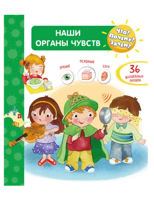 Книга Что? Почему? Зачем? Наши органы чувств 36 окошек - характеристики и  описание на Мегамаркет