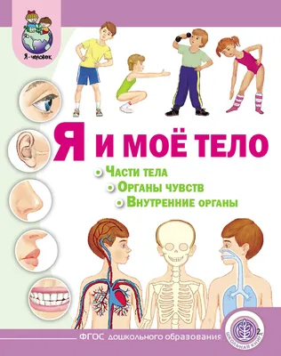 Как наши органы чувств обманывают нас » ЯУстал - Источник Хорошего  Настроения