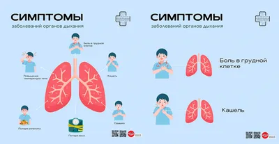 Неделя профилактики заболеваний органов дыхания