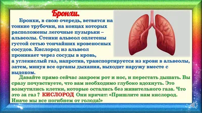 Профилактика заболеваний органов дыхания | Санаторий "Пансионат "Восток-6"