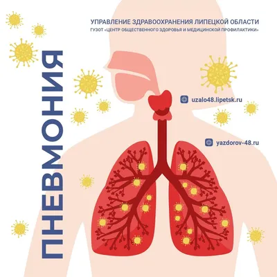 Неделя профилактики заболеваний органов дыхания 6-12 ноября ( в честь  Всемирного дня борьбы с пневмонией 12 ноября) | Сайт газеты «Районные  вести» | Советский район Алтайского края