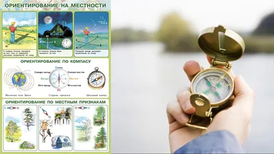 Ориентирование на местности по карте (арт. ОР-35) купить в Томске с  доставкой: цены в интернет-магазине АзбукаДекор