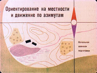 Ориентирование на местности | Рефераты Основы безопасности  жизнедеятельности (ОБЖ) | Docsity