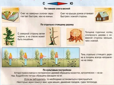 Ориентирование на местности. Азимут