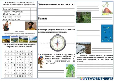 Окружающий мир. Ориентирование на местности. А3. ПО - 013545. Сфера -  купить с доставкой по выгодным ценам в интернет-магазине OZON (792607175)