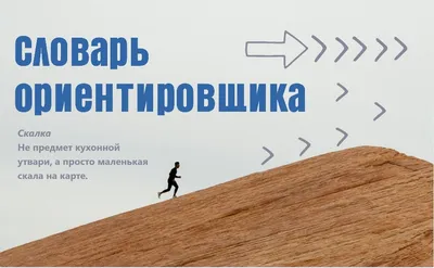 Тимбилдинг в лесу | Командное спортивное ориентирование на корпоратив в  Москве | Тимбилдинг ориентирование