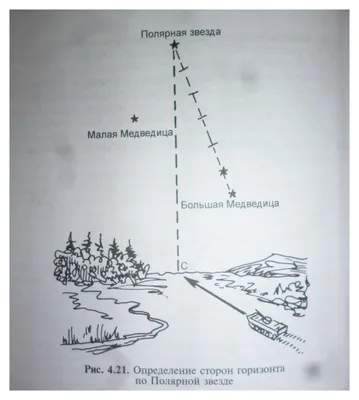 Ориентирование на местности - online presentation