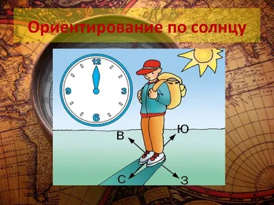 Плакат 30*40см "Ориентирование на местности. Окружающий мир в начальной  школе" - Элимканц