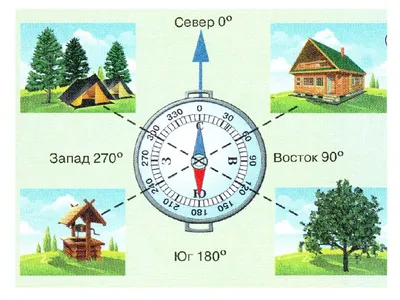 Ориентирование на местности worksheet | Live Worksheets