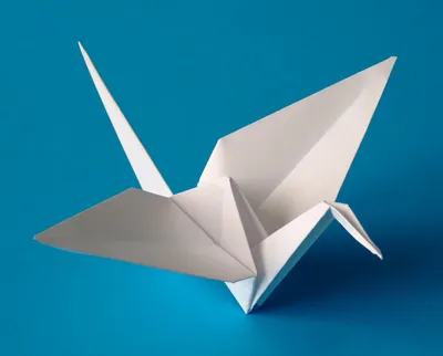 Занятие по оригами «Самолет, бабочка, сумочка» для 1 класса (3 фото).  Воспитателям детских садов, школьным учителям и педагогам - Маам.ру