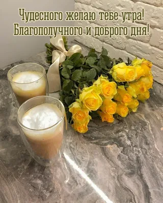 Необычные открытки с добрым утром