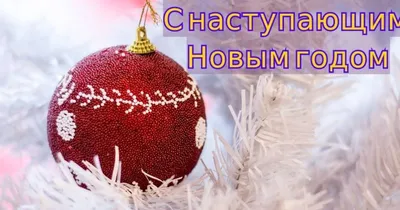 Необычные поздравления с Новым годом 2019 - Оригинальные новогодние  поздравления в стихах и прозе - друзьям, коллегам, родным - Шуточные  поздравления